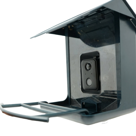 Spare BirdCam Plastic Perch