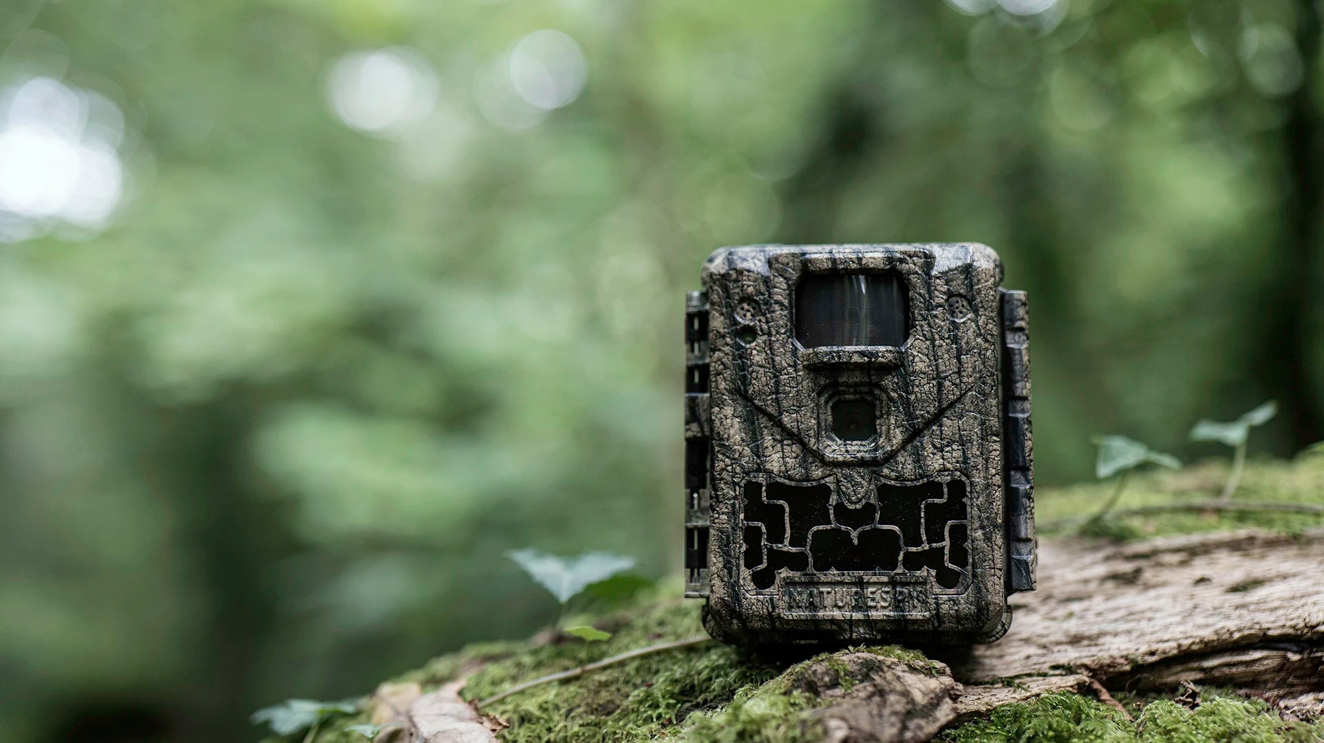 Wildlife trail cameras on a budget