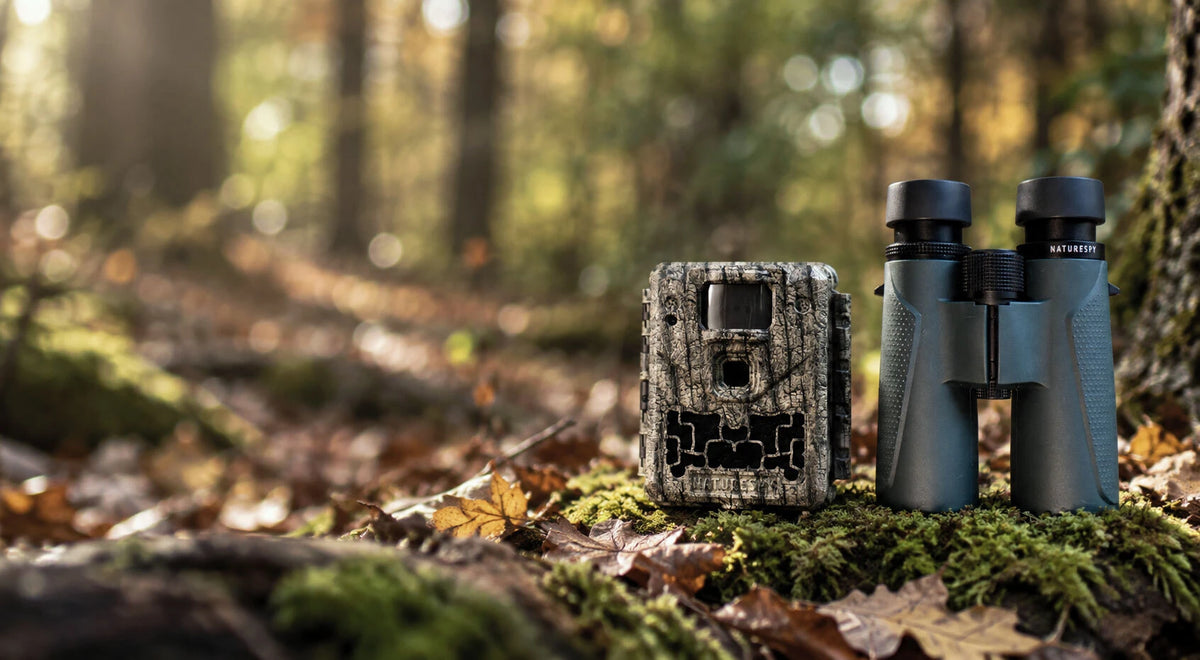 The best wildlife watching kit this Autumn