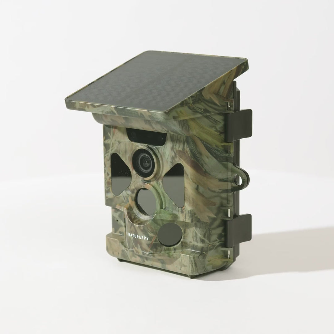 NatureSpy Helarctos Solar Trail Camera