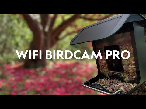 NatureSpy WiFi BirdCam Pro