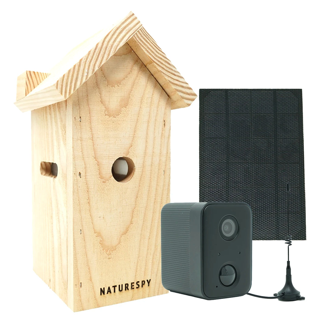 NatureSpy WiFi Solar Nestbox Bird camera