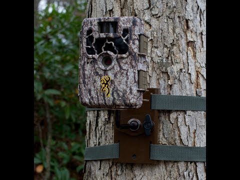 Camera Tree Mount