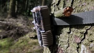 NatureSpy Trail Camera Set-up - Angle with Stick