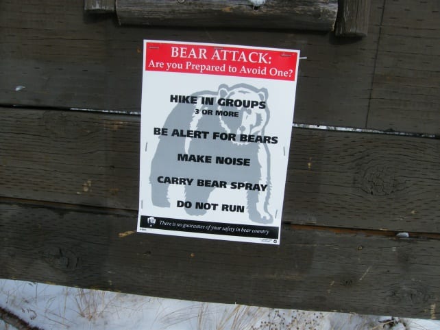 Beware bear attacks!