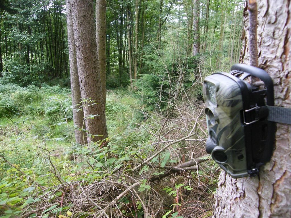A NatureSpy camera trap poised in the forest