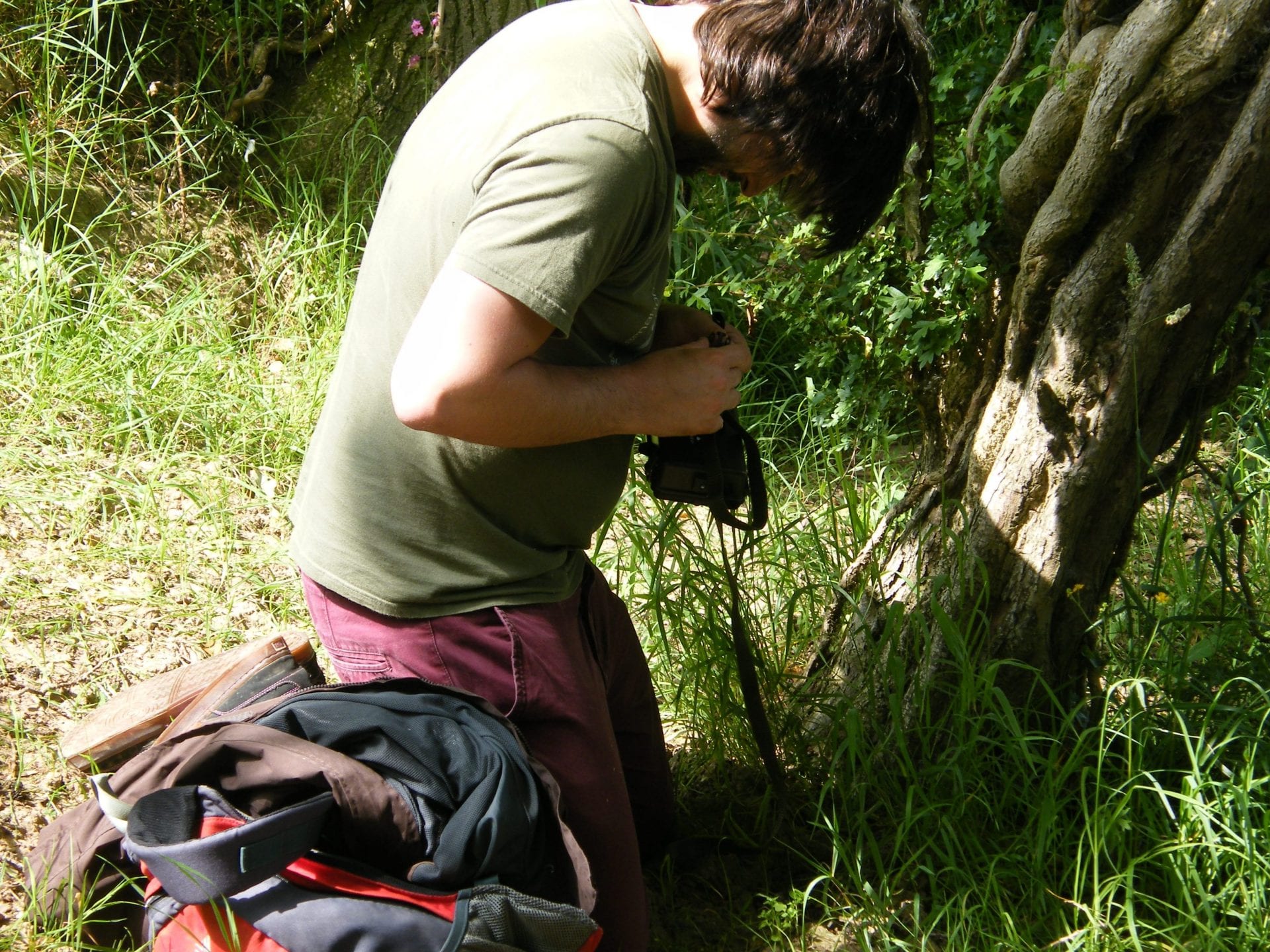 Mammal Society and Cheshire Wildlife Trust Camera Trap Workshop
