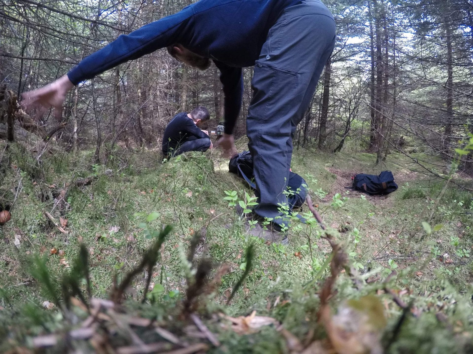 Setting up a trail camera for pine marten in Yorkshire