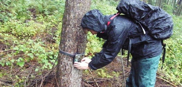 NatureSpy wildlife camera trap collection