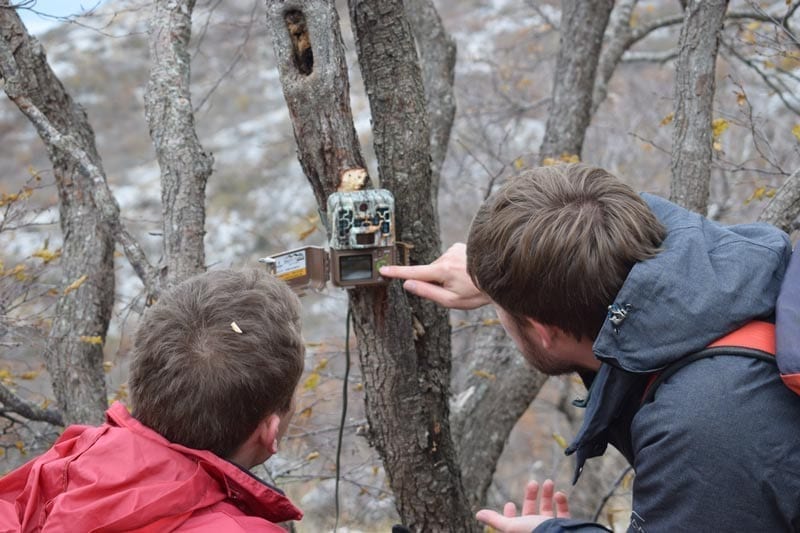 Setting a Browning camera trap up for Wolves in Bioterra
