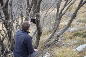 Checking a camera trap in Croatia