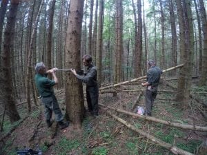 NatureSpy Yorkshire pine marten volunteers setting out camera traps
