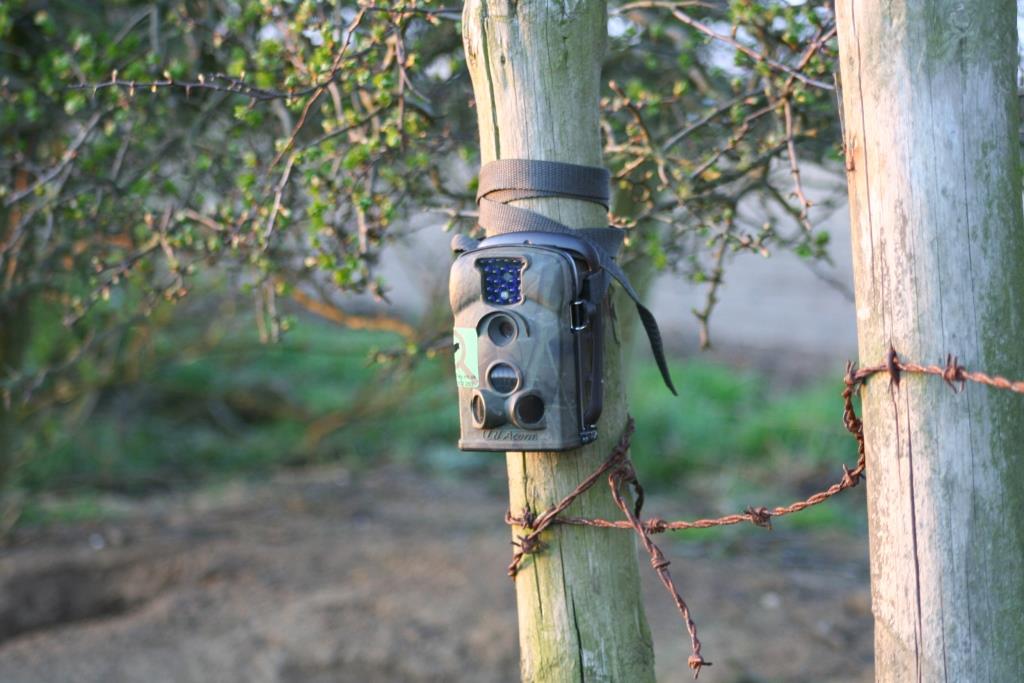 A ltl acorn camera trap strapped up