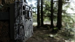 NatureSpy Bushnell Camera Trap Set-up