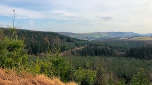 View from Boltby forest - North York Moors