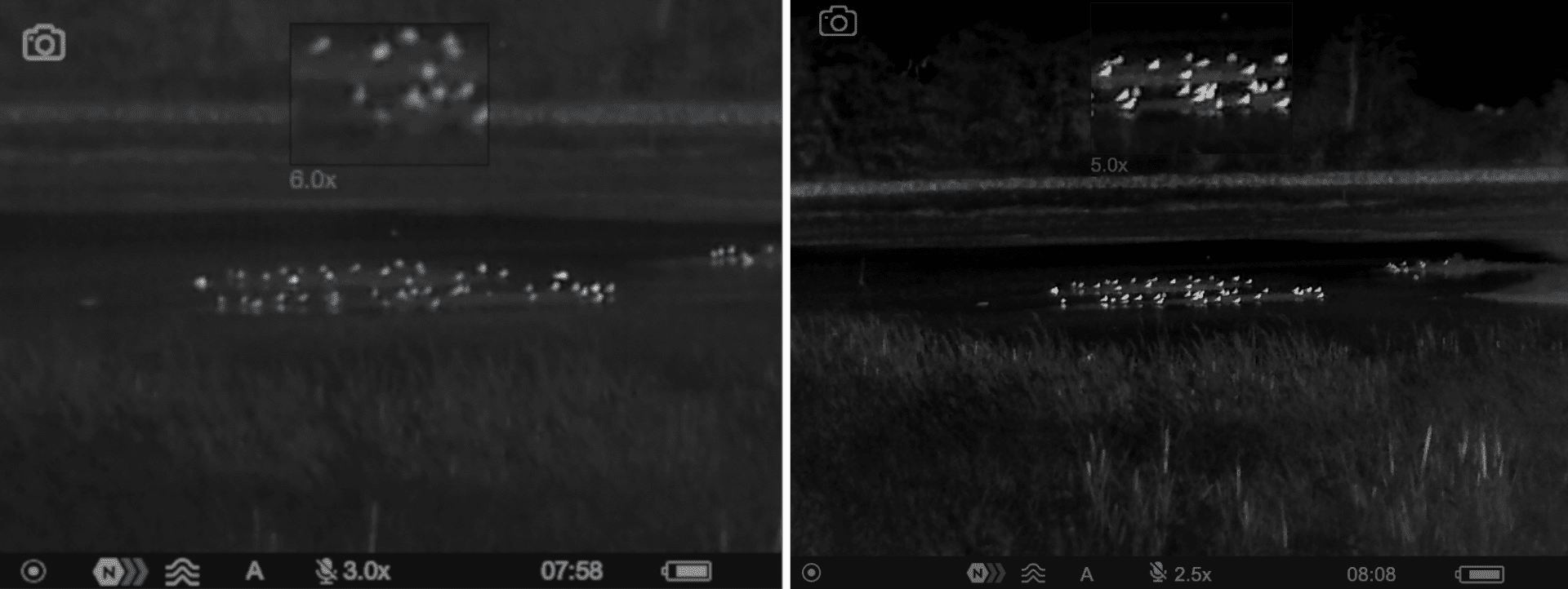 Comparison Image of wading birds on an Axion XM30F and Axion 2 XG35