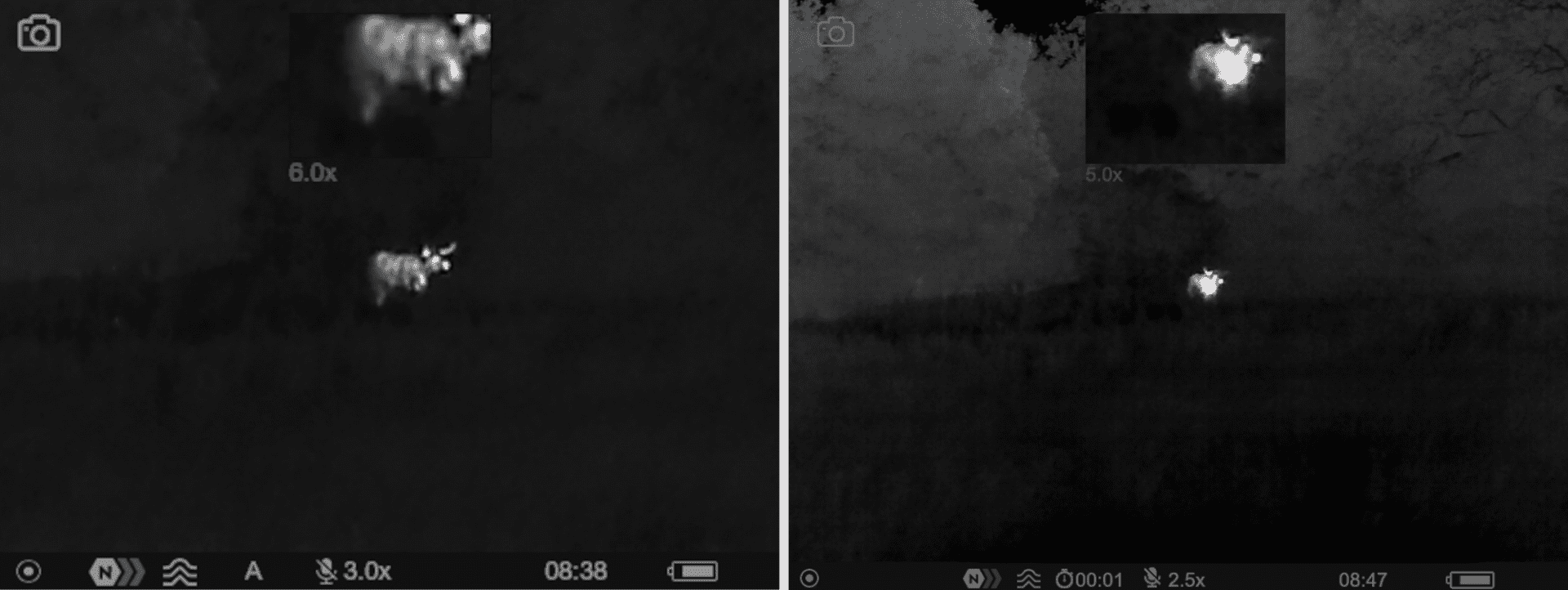 Comparison thermal Image of cattle on an Axion XM30F and Axion 2 XG35