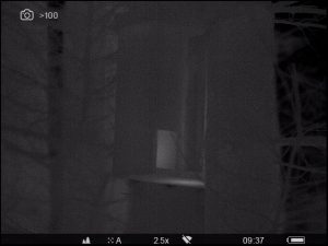 Thermal image of a VWT style pine marten den box containing a squirrel