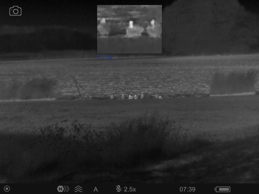 Thermal Image of Geese captured on an Axion 2 XG35