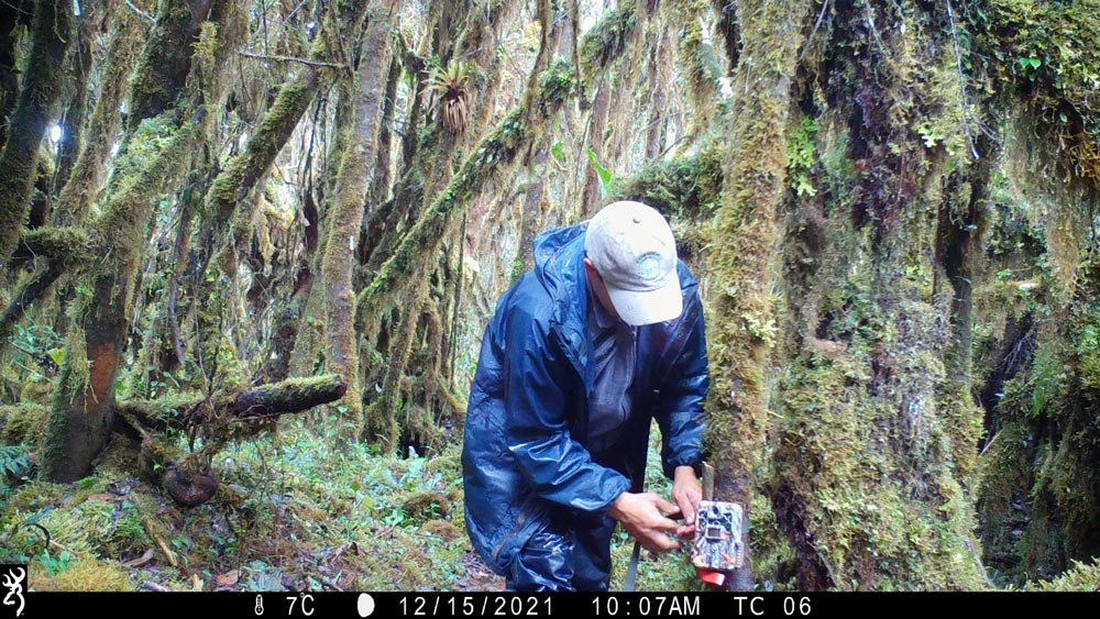 A ranger in Neblina checks a soggy camera trap