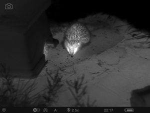 Thermal image of a hedgehog taken on an Axion 2 XG35
