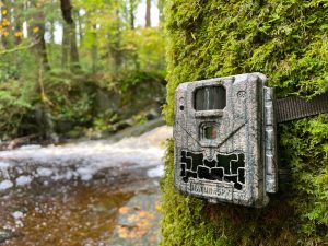 NatureSpy Ursus trail camera setup