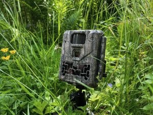 NatureSpy Ursus trail camera