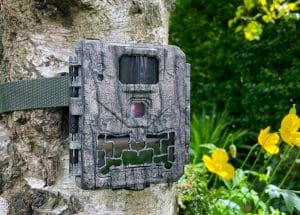 NatureSpy Ursus camera trap setup on a tree