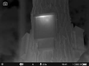 Thermal image of a bat box showing heat signature in the top of the box, taken with Pulsar Helion 2 XP50 Pro
