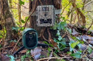 NatureSpy Ursus Trail Camera and WiFi WildCam 2 side by side